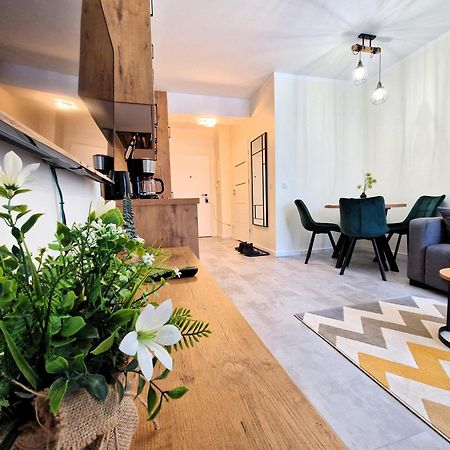 שצ'קלארסקה פוראובה Apartament W Szklarskiej Porebie - Ostoja Parku Narodowego מראה חיצוני תמונה